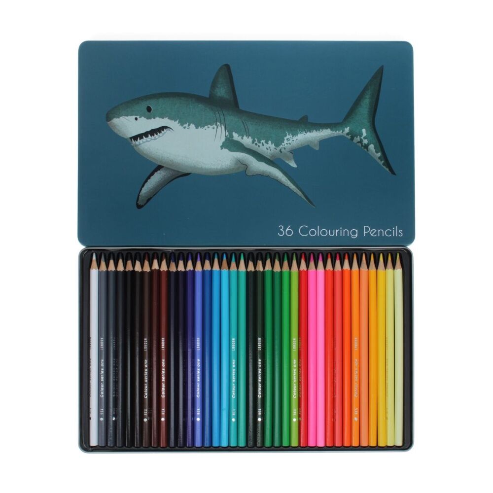 2x 36pc Rex London Colouring Pencils Set With Shark Tin Creative Drawing