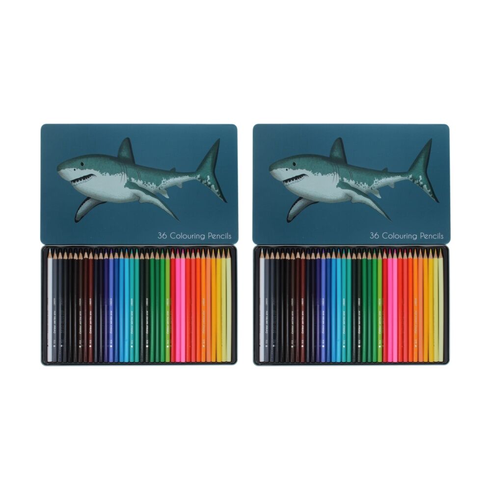 2x 36pc Rex London Colouring Pencils Set With Shark Tin Creative Drawing