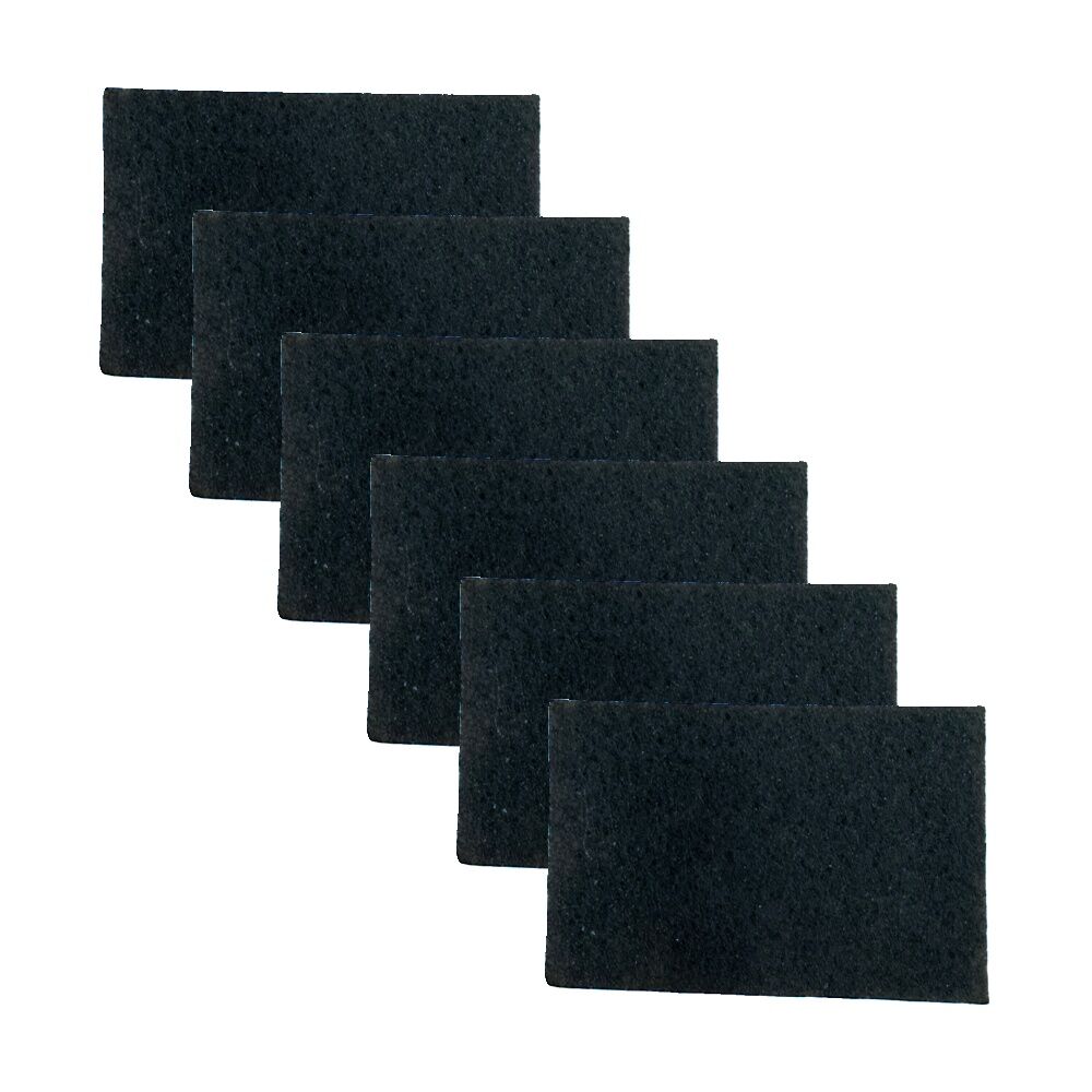 6PK Cleanstar Air Inlet Filter Foam Vacuum Cleaner For Allergy Pro Replacement