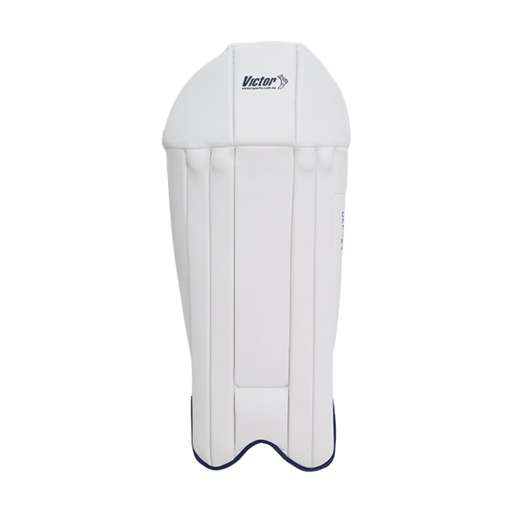 Victor Wicket Keeping Pads HDF Bolsters Comfortable Cricket Gear Junior