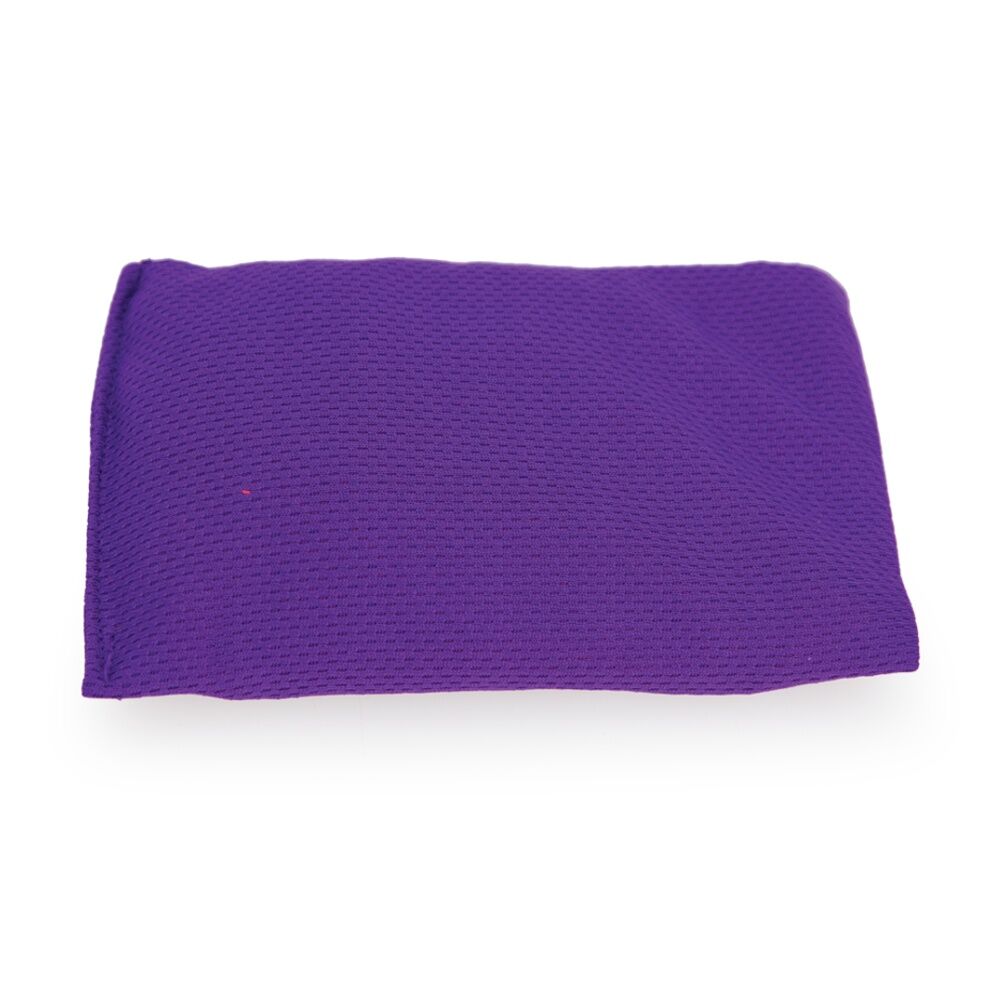 6PK Victor Bean Bag Solid Plastic Fill Educational Sport Purple 10x15cm