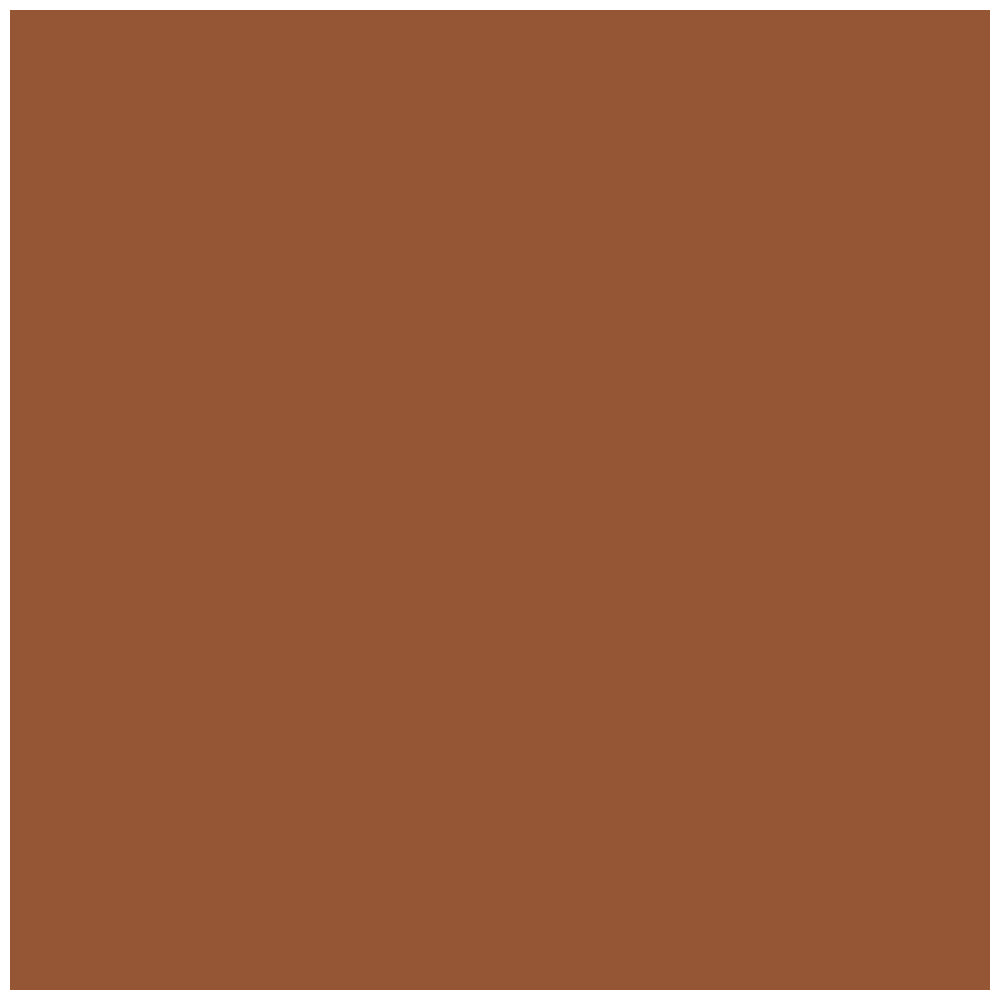 BYS 30ml All Day Wear SPF 20 Liquid Foundation Face Makeup - Natural Tan