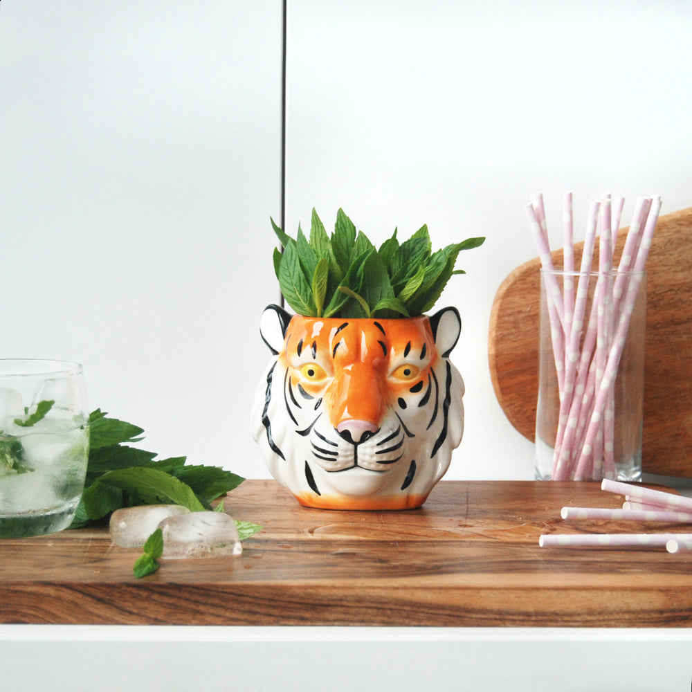 2PK White Moose Ceramic Planter Pot Tiger Home Decor - Orange