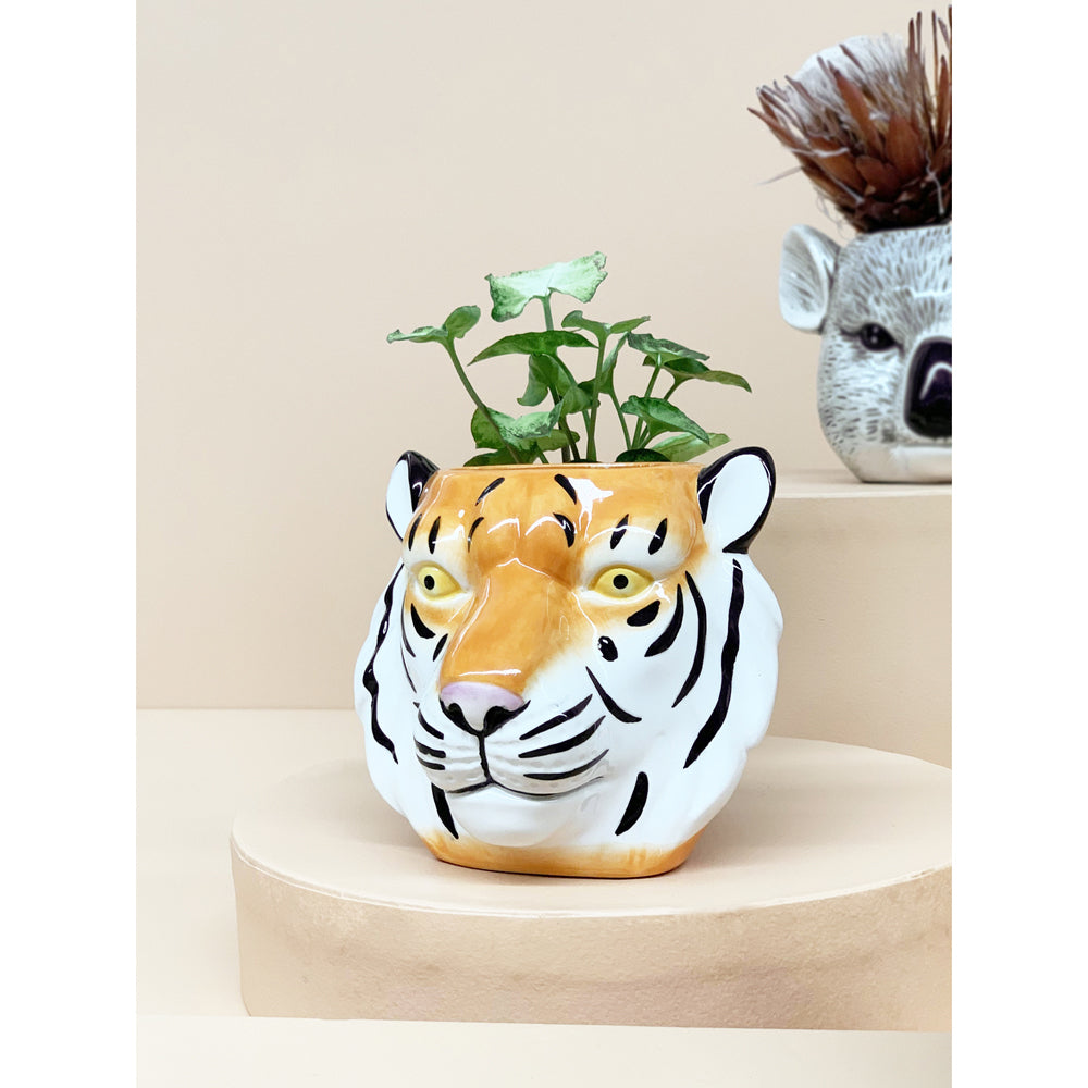 2PK White Moose Ceramic Planter Pot Tiger Home Decor - Orange