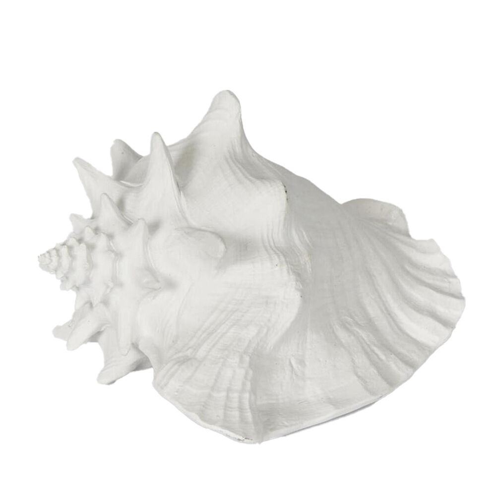 Belle Polyresin Sandy Sea Snail Sculpture 21x19cm - White