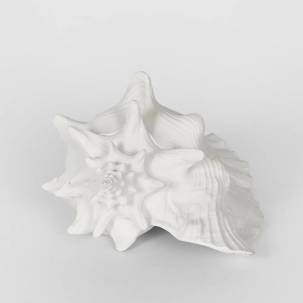 Belle Polyresin Sandy Sea Snail Sculpture 21x19cm - White