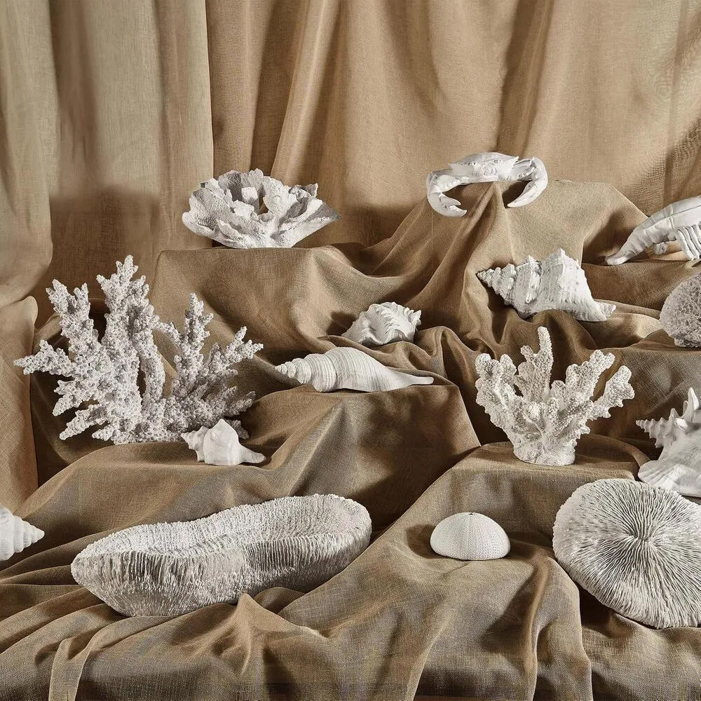 2PK Belle Polyresin Laguna Coral Sculpture 26.5x14.5cm - White