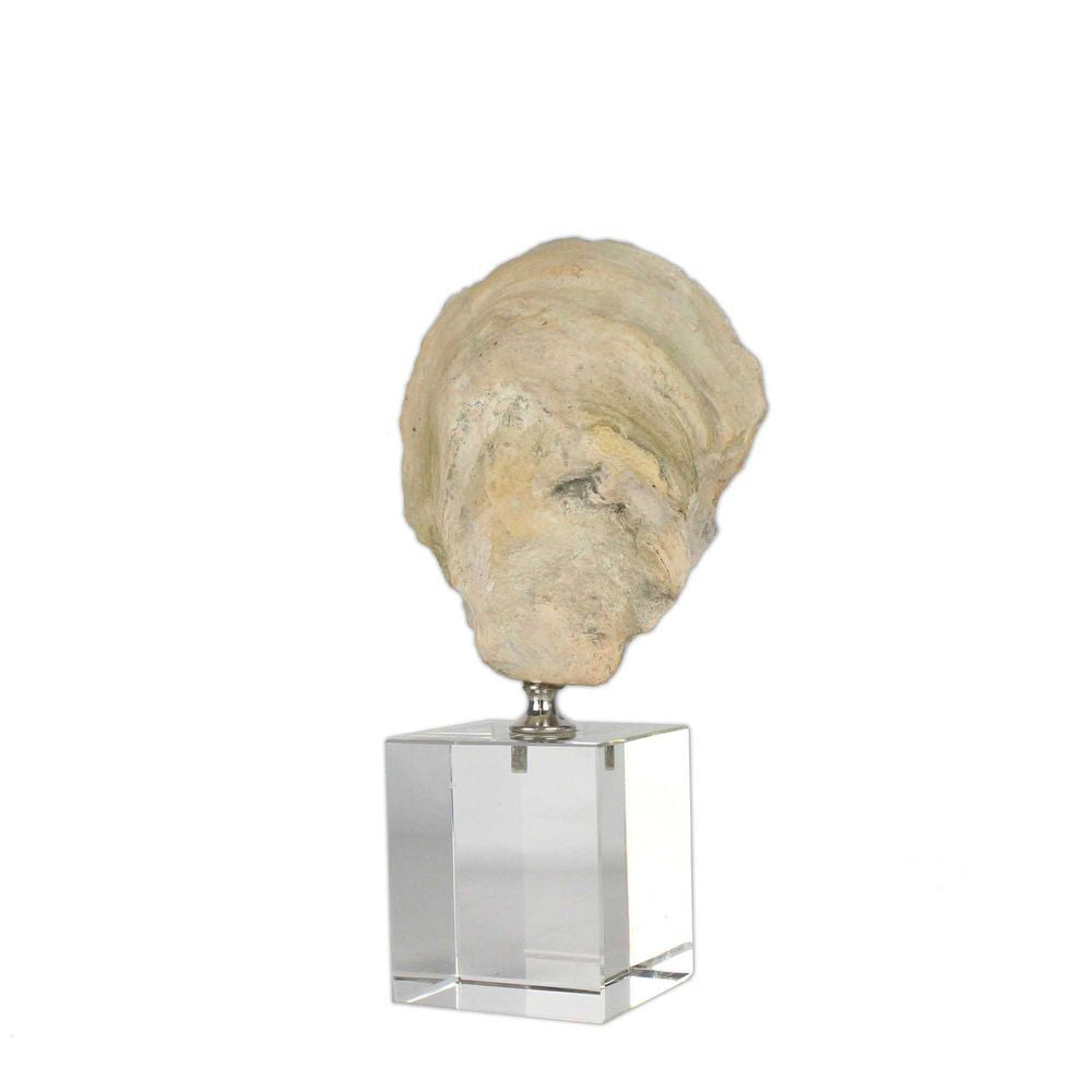 Belle Oyster Polyresin Sculpture Tabletop Home Decor Natural
