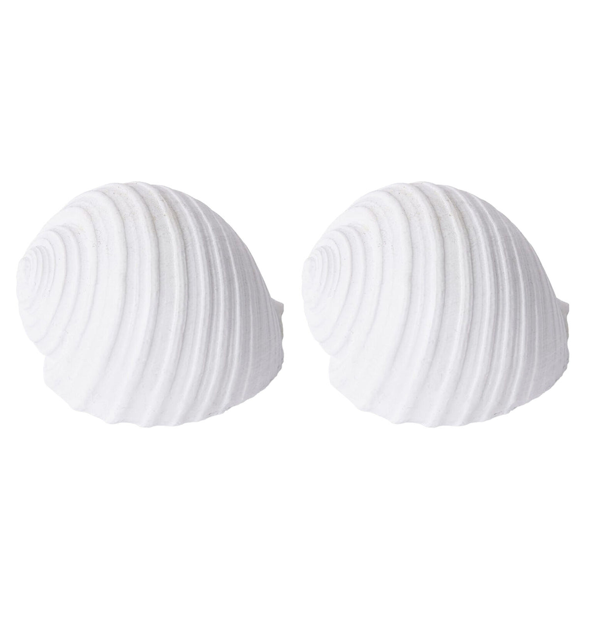 2PK E Style Shell Moon Snail Sculpture Tabletop Home Decor 11cm White