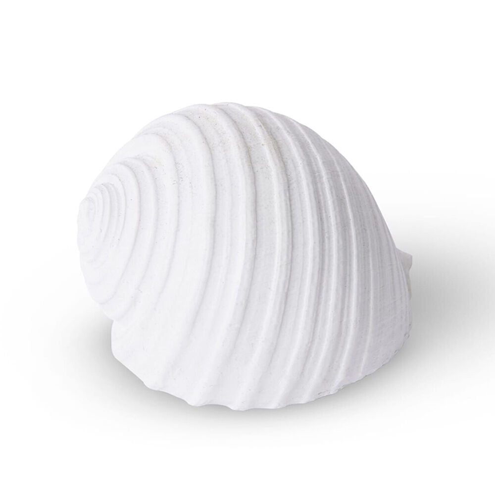 2PK E Style Shell Moon Snail Sculpture Tabletop Home Decor 11cm White
