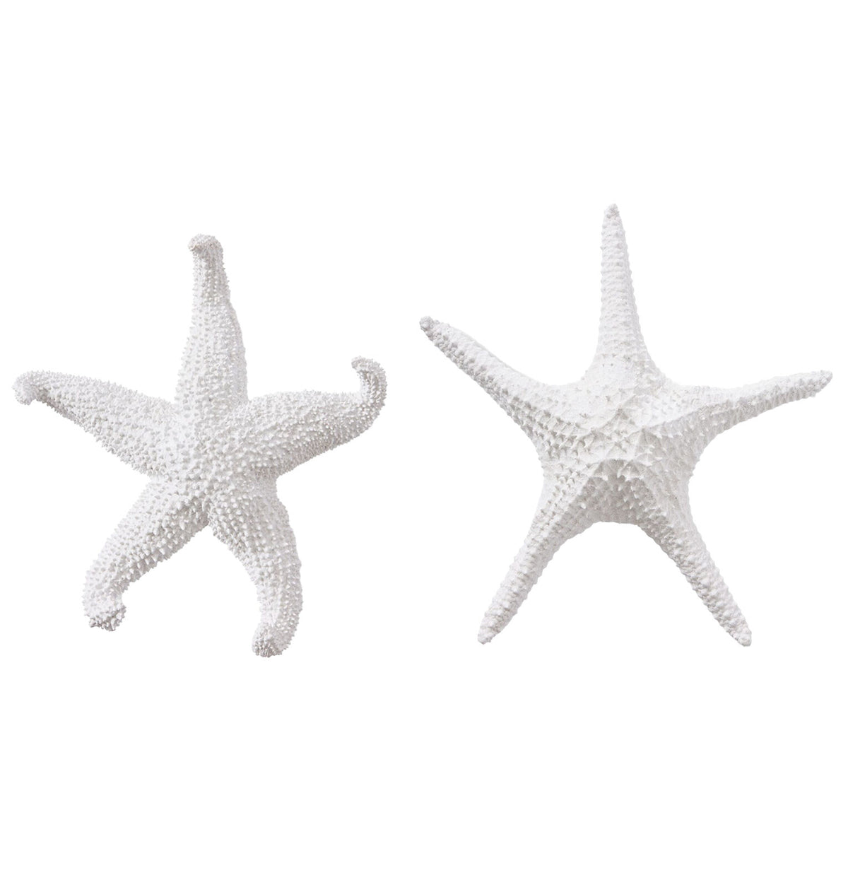 E Style Starfish Ochre/Bat Star Sculpture Home Decor Combo Set White