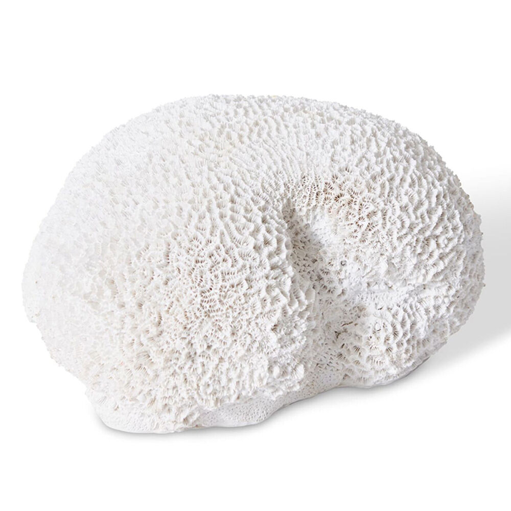 E Style Coral Brain Decorative Display Polyresin 23x19cm - White