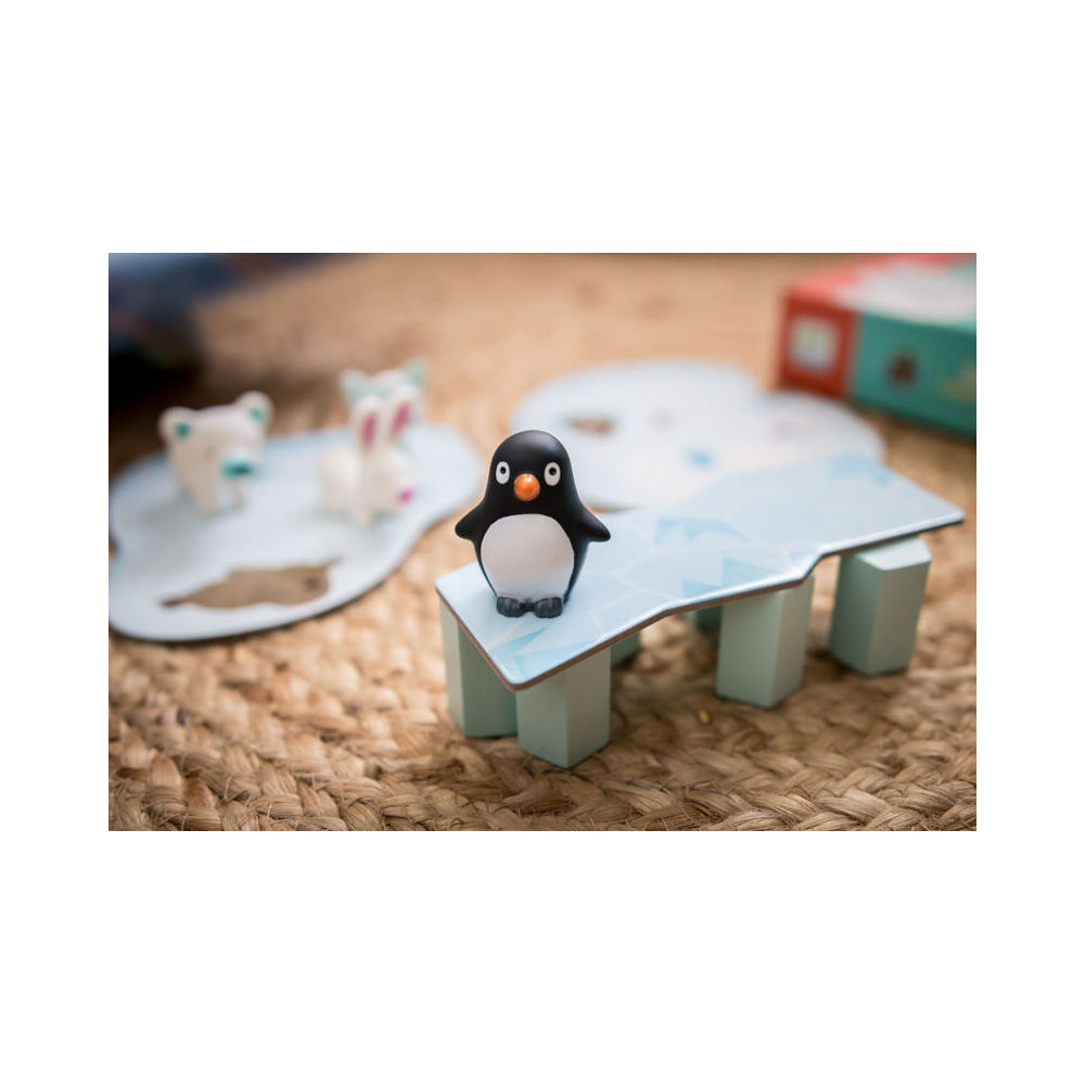 Djeco Little Cooperation Toddler Game Interactive Play 2.5y+