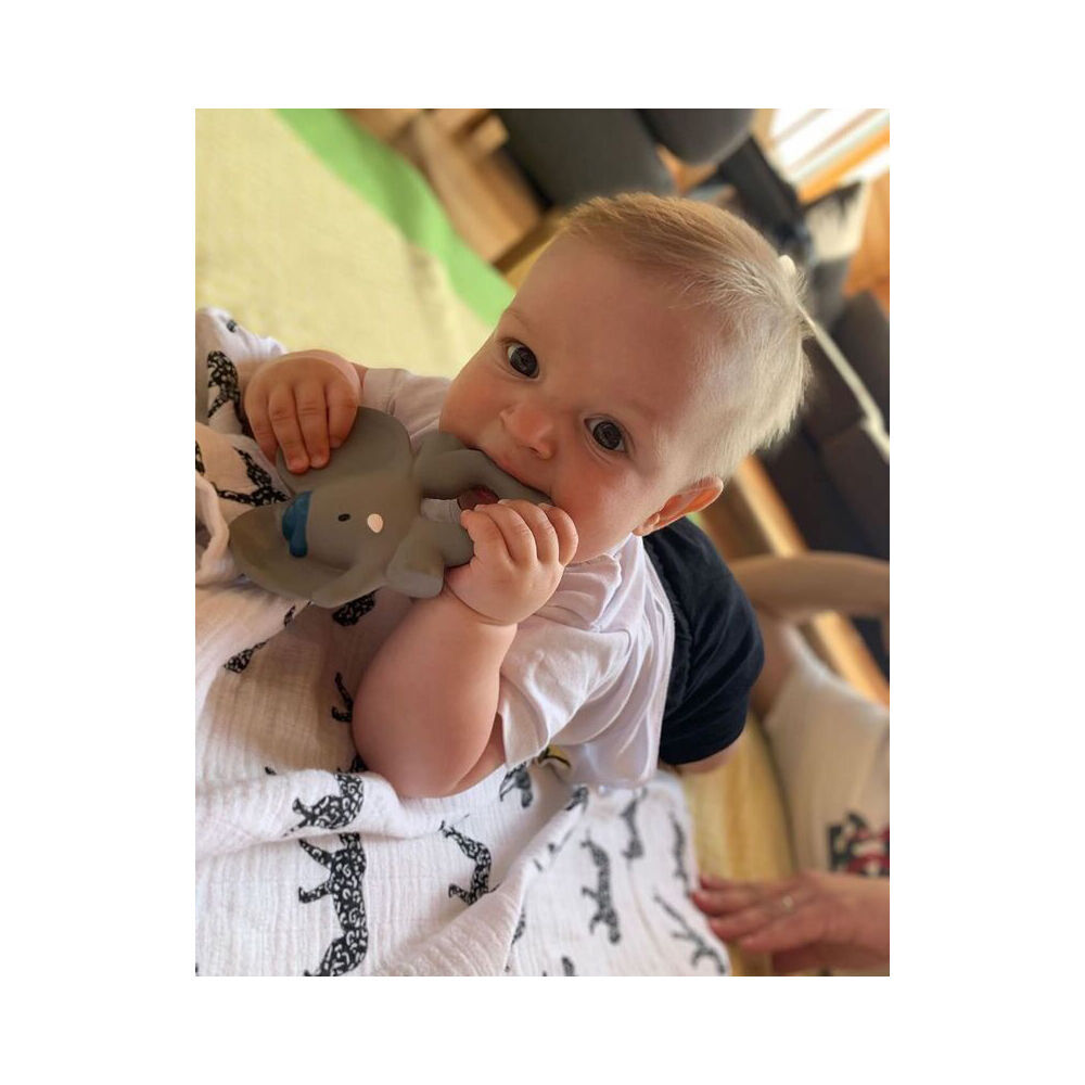 2PK Meiya and Alvin the Elephant Rubber Flat Baby Teething Toy Grey/White/Navy