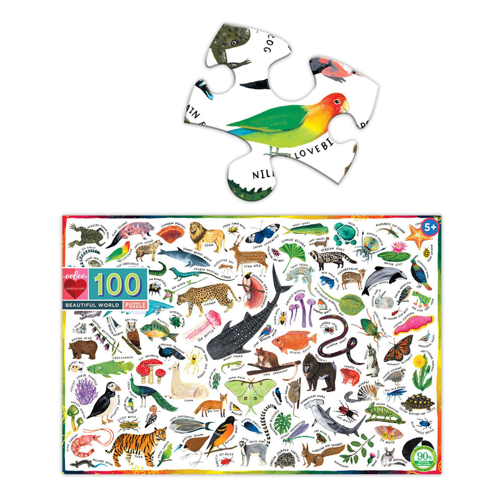2x 100pc eeBoo Jigsaw Puzzle Beautiful World 45x68cm Educational Game  5+