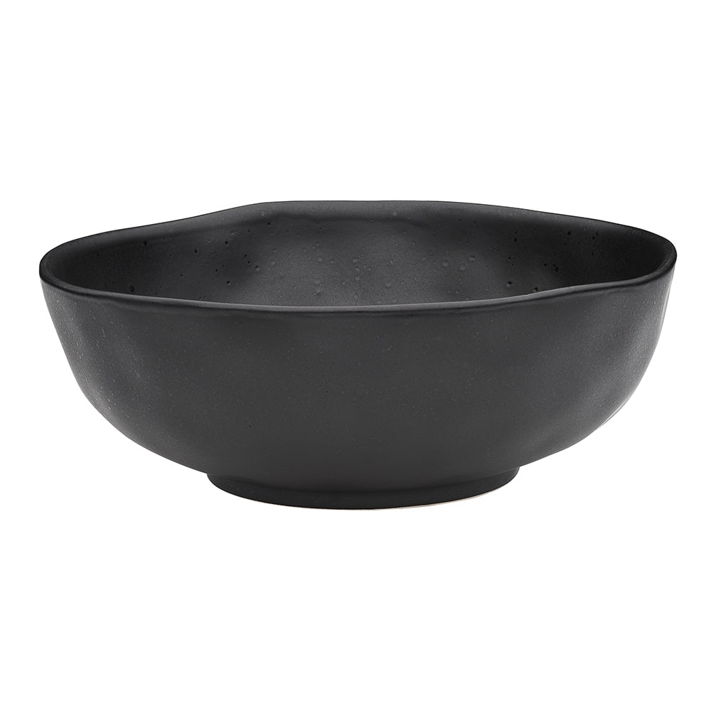 12pc Ecology Speckle Dinner Set Ebony