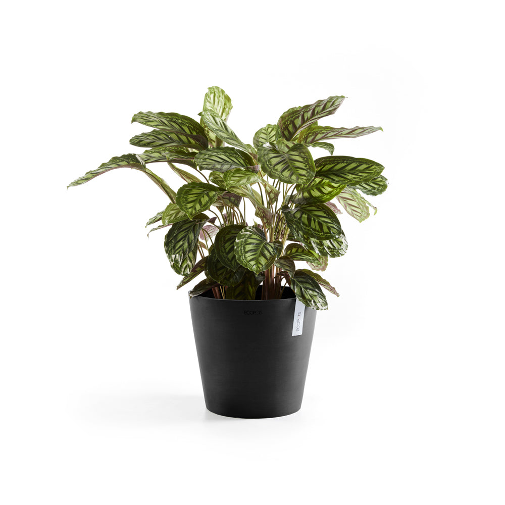 Ecopots Amstersdam 30cm Home Decor Garden Plant Pot Dark Grey