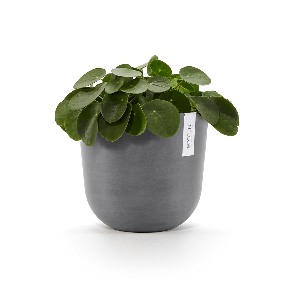 Ecopots Oslo 25cm Home Decor Garden Plant Pot Grey