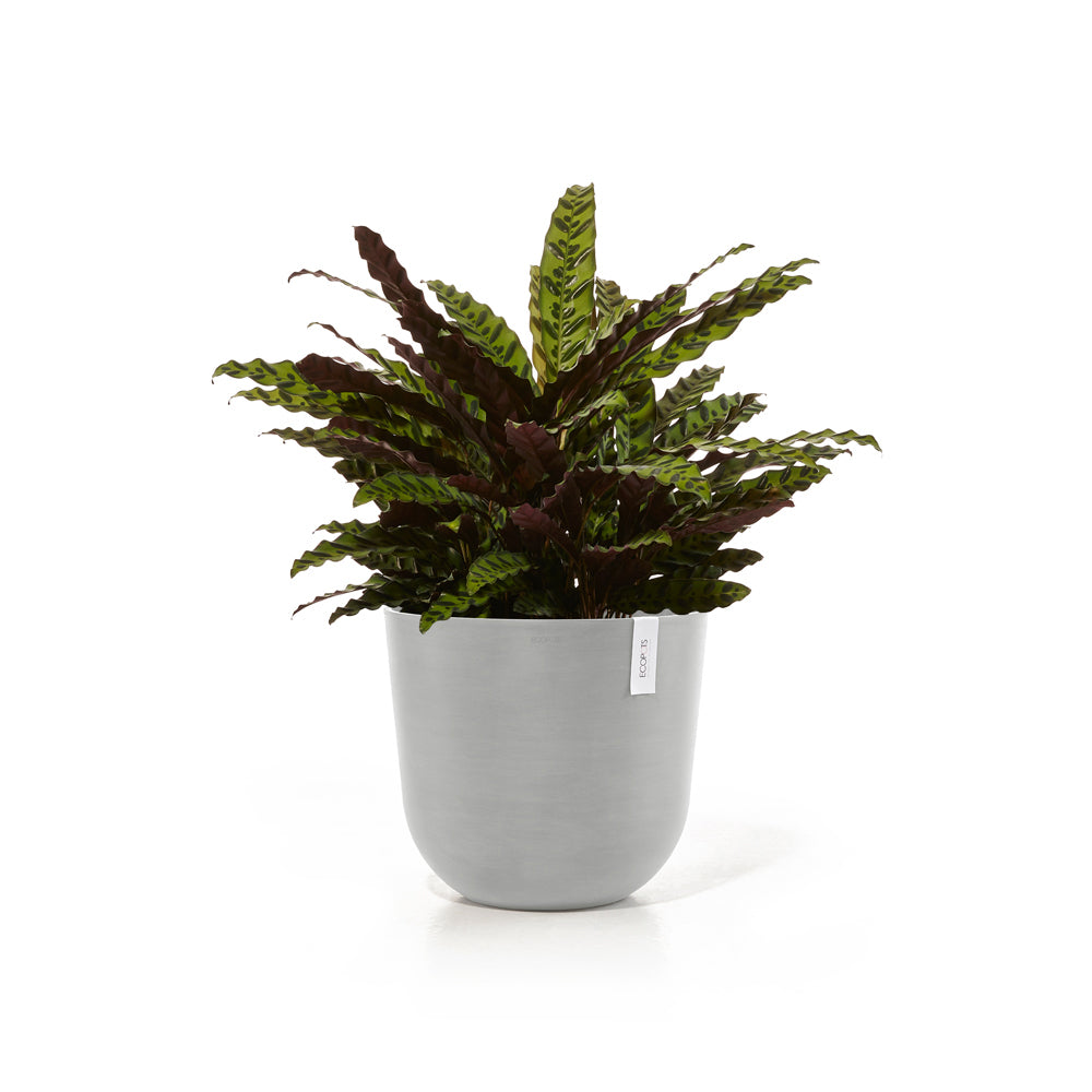 Ecopots Oslo 45cm Home Garden Plant Pot White Grey