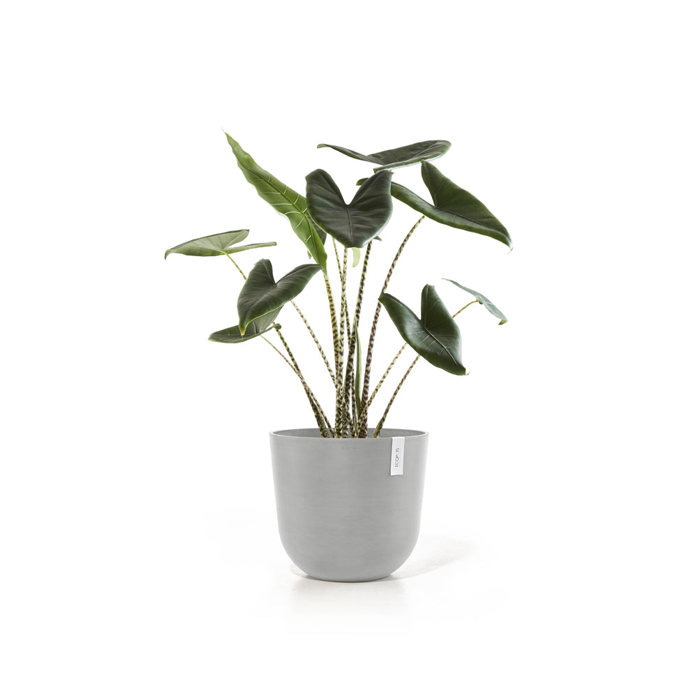 Ecopots Oslo 45cm Home Garden Plant Pot White Grey