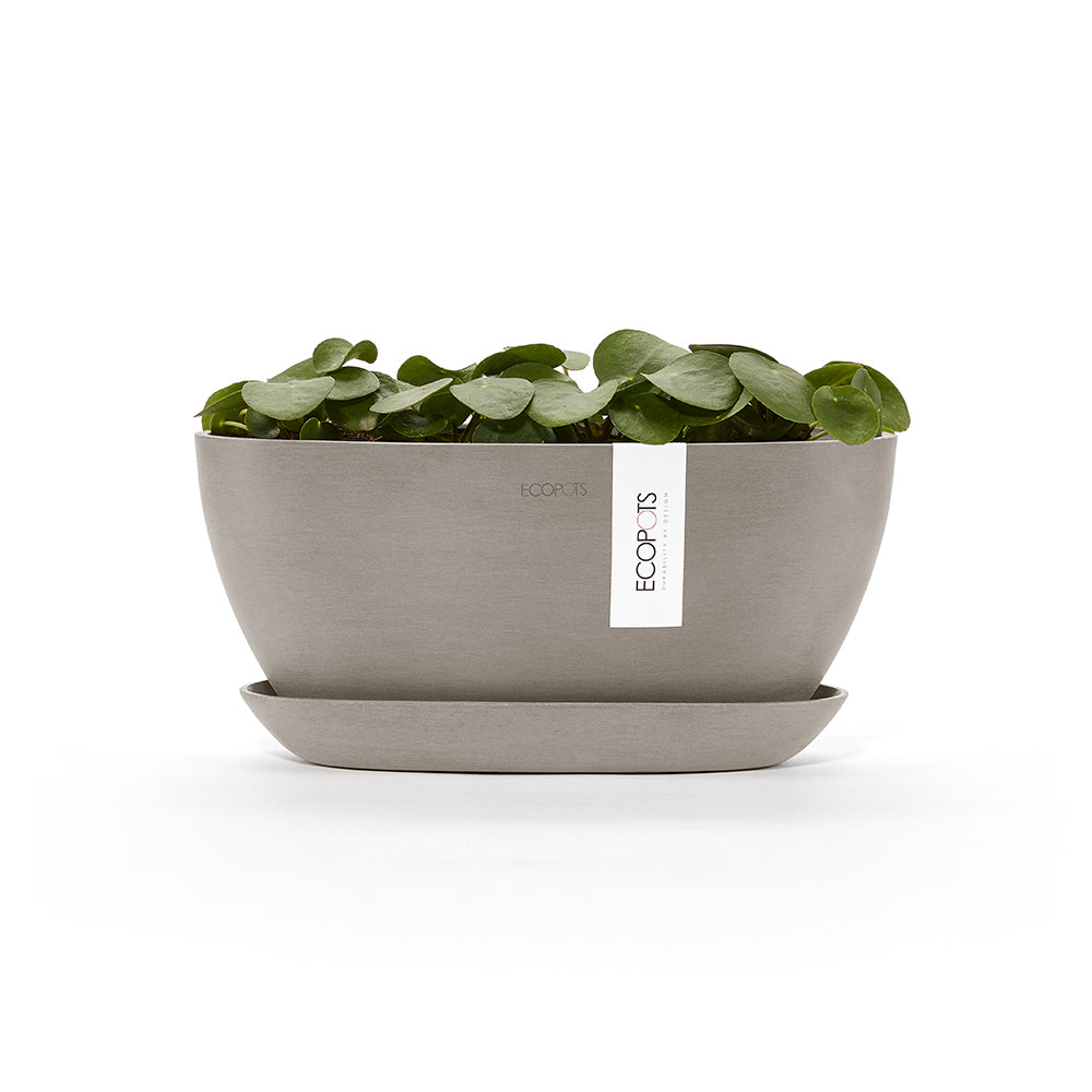 EcoPots Sofia 30x13.5cm Plant Pot Self Watering Taupe
