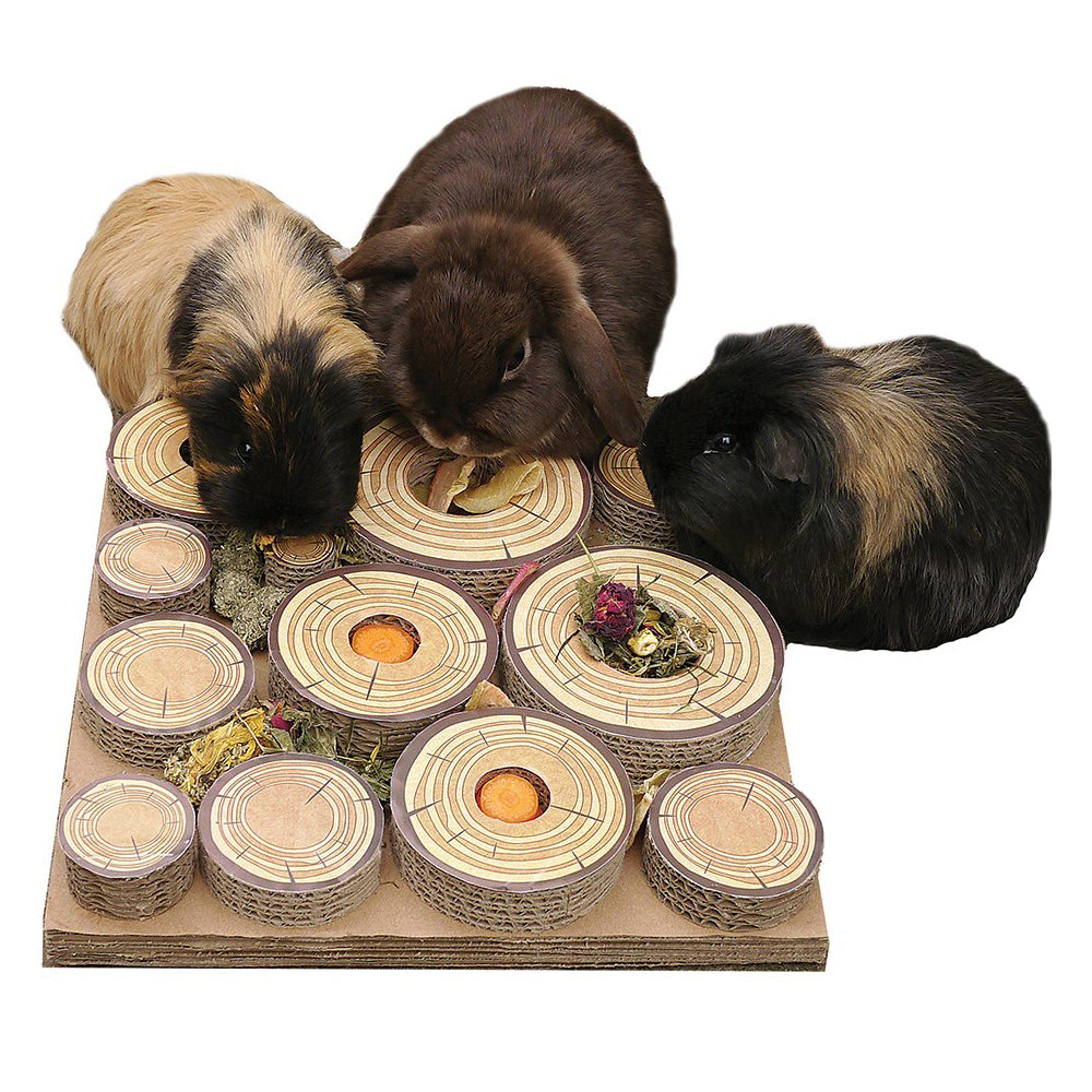 2PK Rosewood Maze-A-Log 30cm Rabbit/Guinea Pig Treat Challenge Pet Feeder Natural
