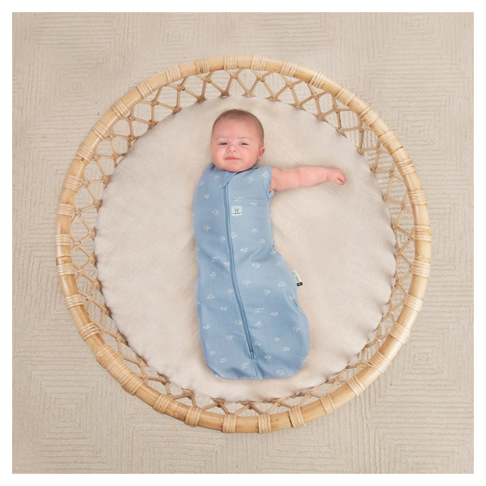 Ergo Pouch Cocoon TOG: 0.2 Size: 6-12 Months - Ripple