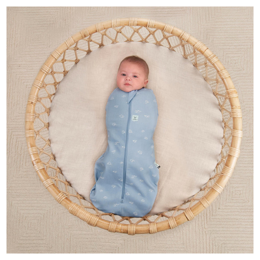 Ergo Pouch Cocoon TOG: 0.2 Size: 6-12 Months - Ripple