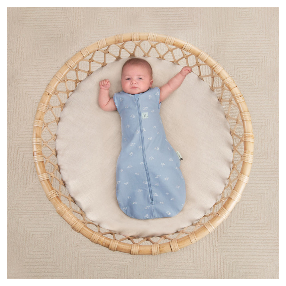 Ergo Pouch Cocoon TOG: 0.2 Size: 6-12 Months - Ripple