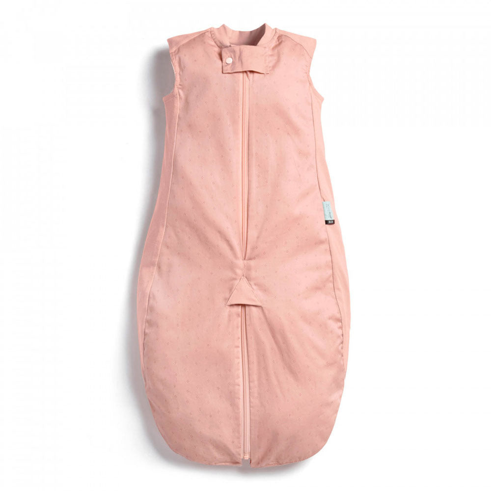 Ergo Pouch Sleep Suit Bag TOG: 0.3 Size: 2-4 Years - Berries