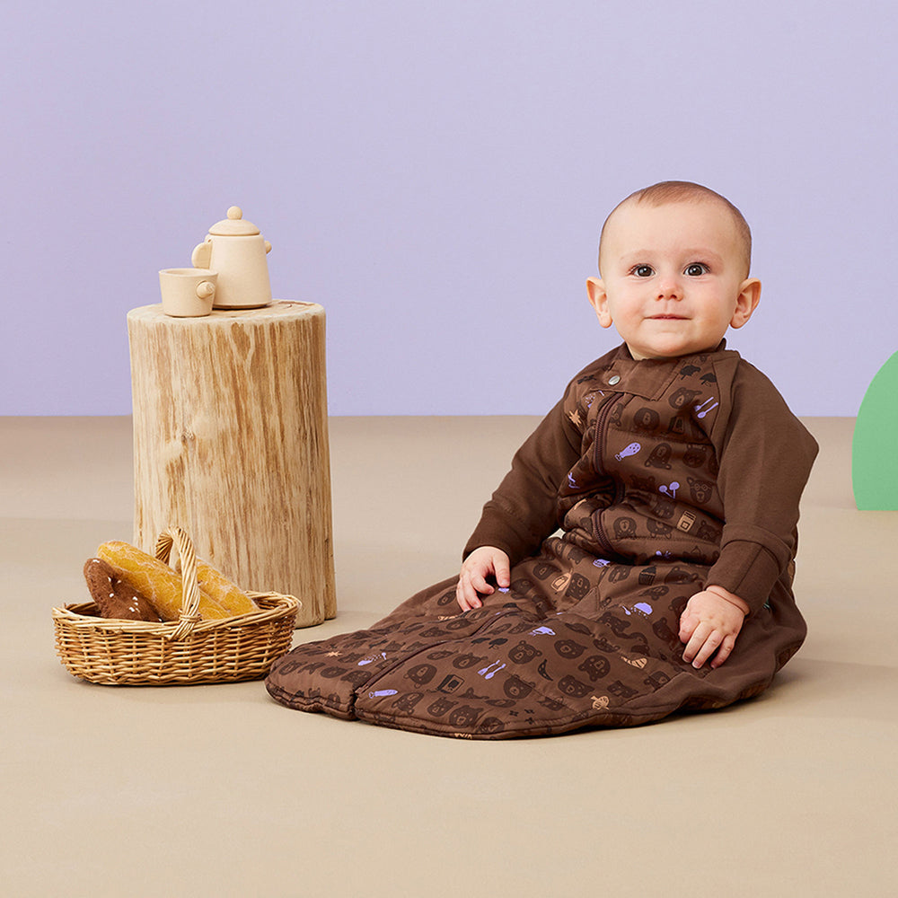 ErgoPouch Sleep Suit Bag TOG 2.5 Size 2-4 Years - Picnic
