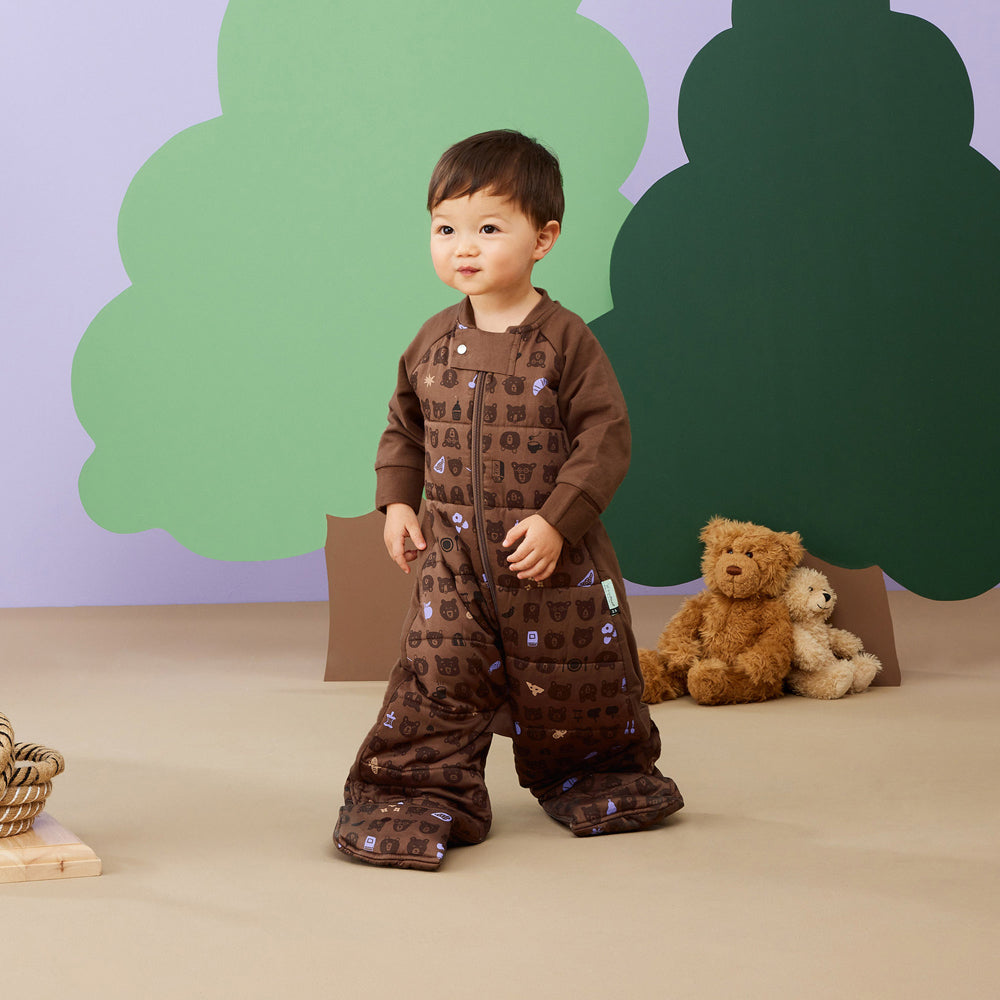 ErgoPouch Sleep Suit Bag TOG 2.5 Size 2-4 Years - Picnic