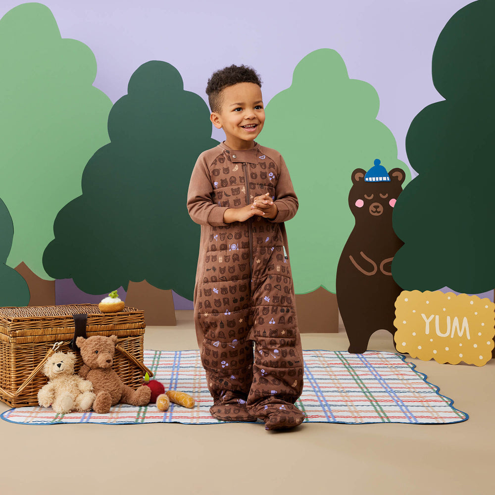 ErgoPouch Sleep Suit Bag TOG 2.5 Size 8-24 Months - Picnic