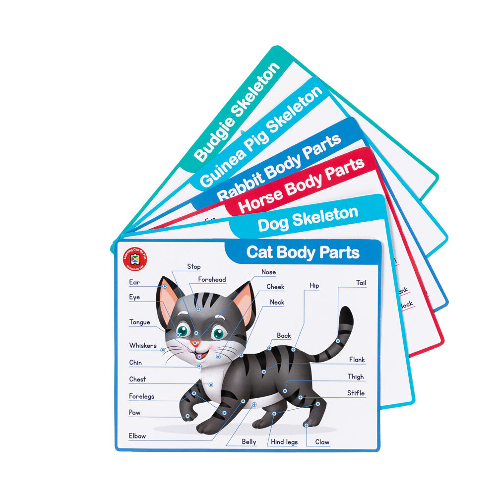 Learning Can Be Fun My First Vet Set Kids Pretend Play Toy Blue