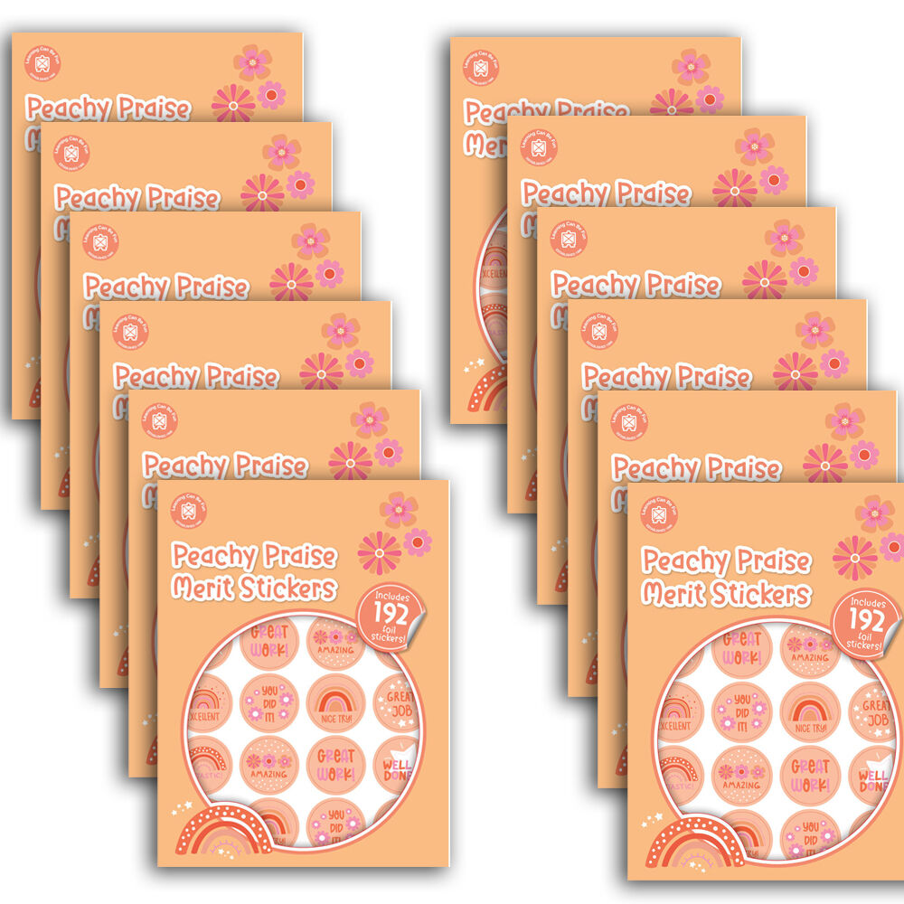12x 192pc Learning Can Be Fun Peachy Praise Merit Sticker Book 28mm