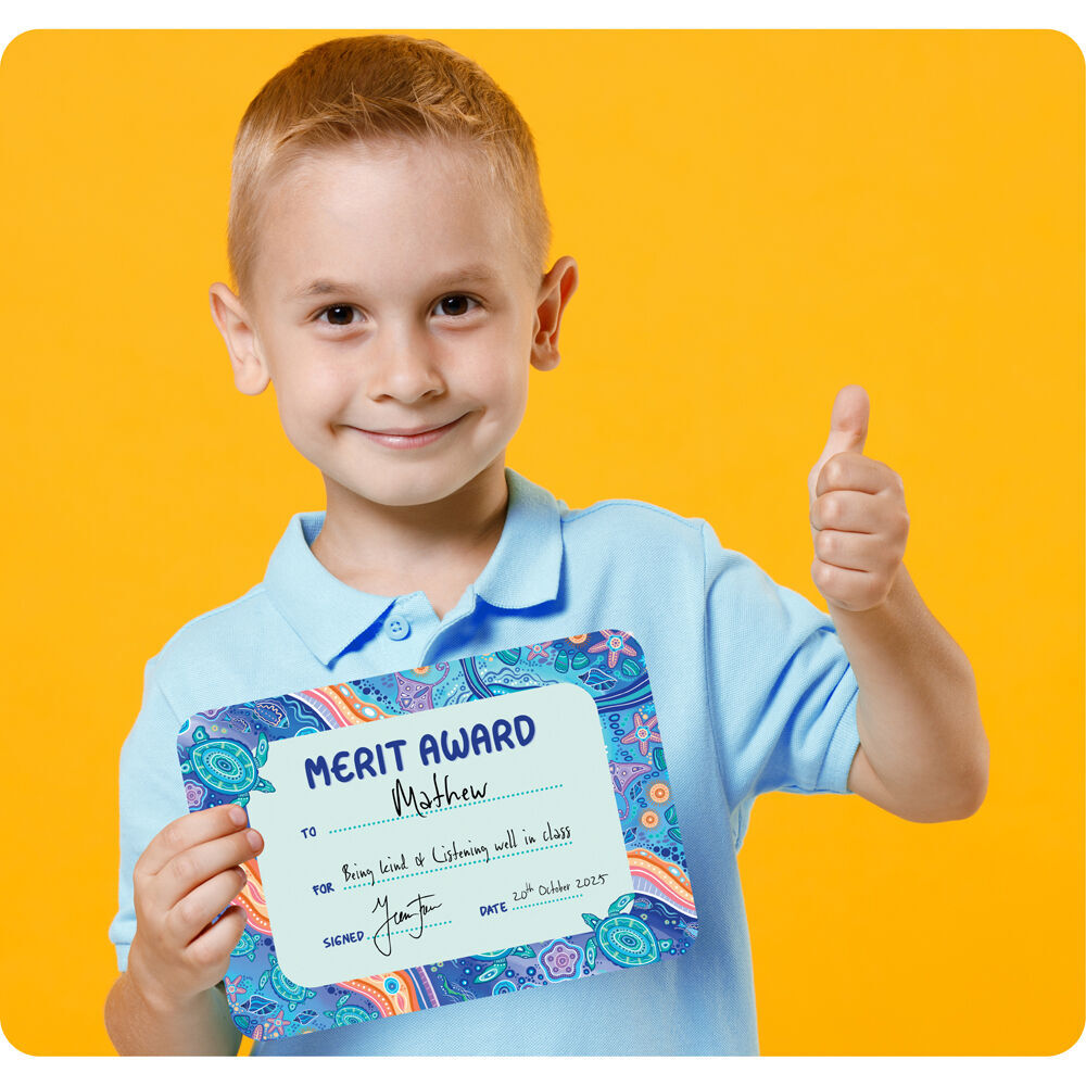 6x 30pc Learning Can Be Fun Ocean Country Merit Award Certificates A5
