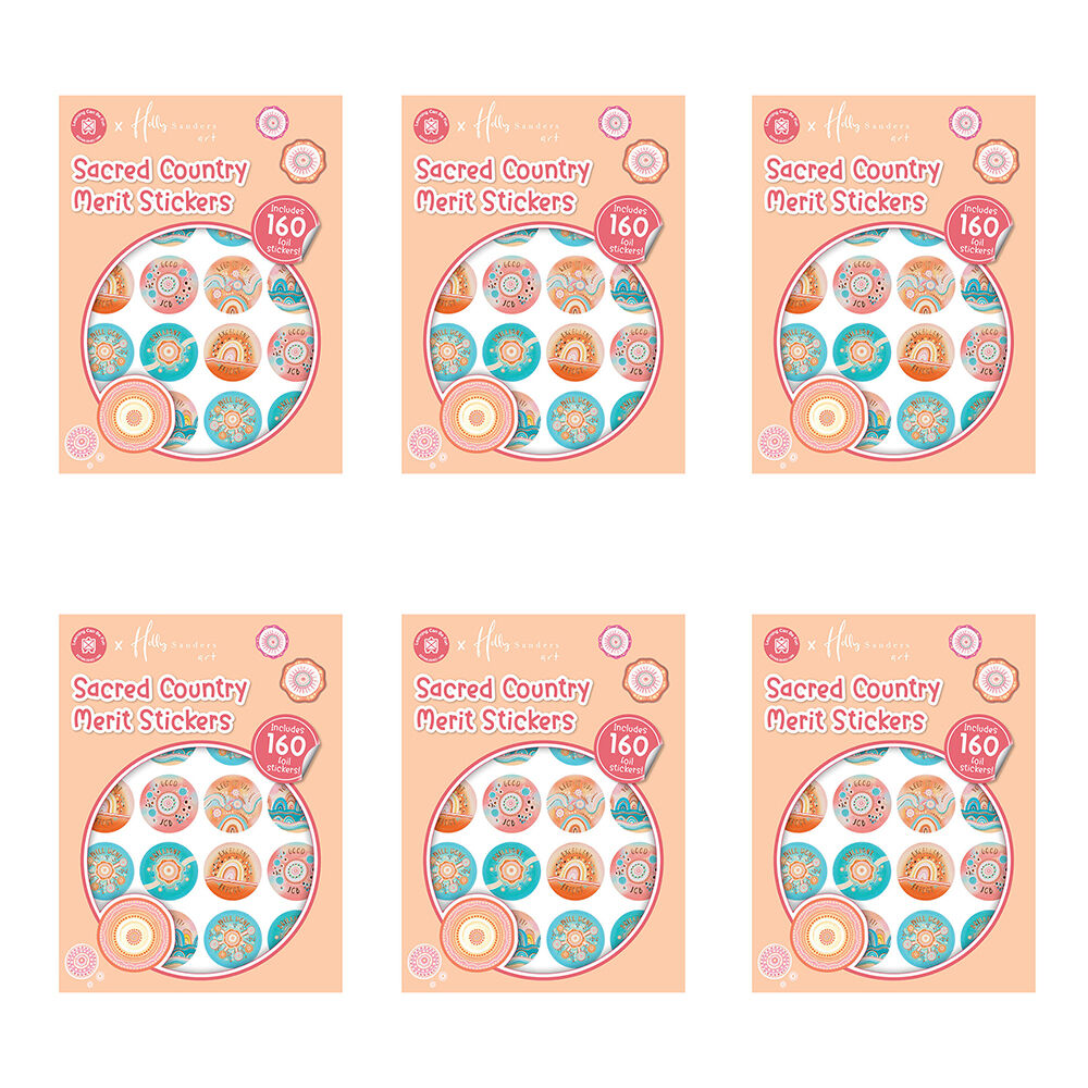6x 160pc Learning Can Be Fun Sacred Country Merit Sticker Book 29mm