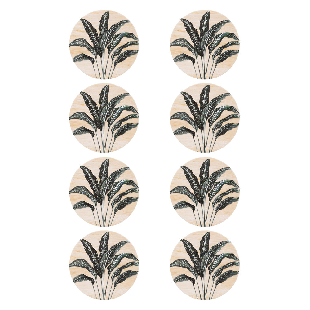 8PK Splosh Exotic Fern 11cm Ceramic Coaster Drink Mat Round