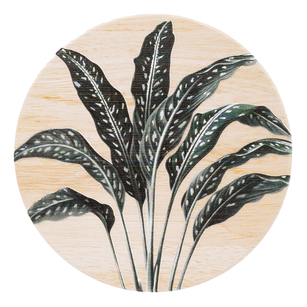 8PK Splosh Exotic Fern 11cm Ceramic Coaster Drink Mat Round