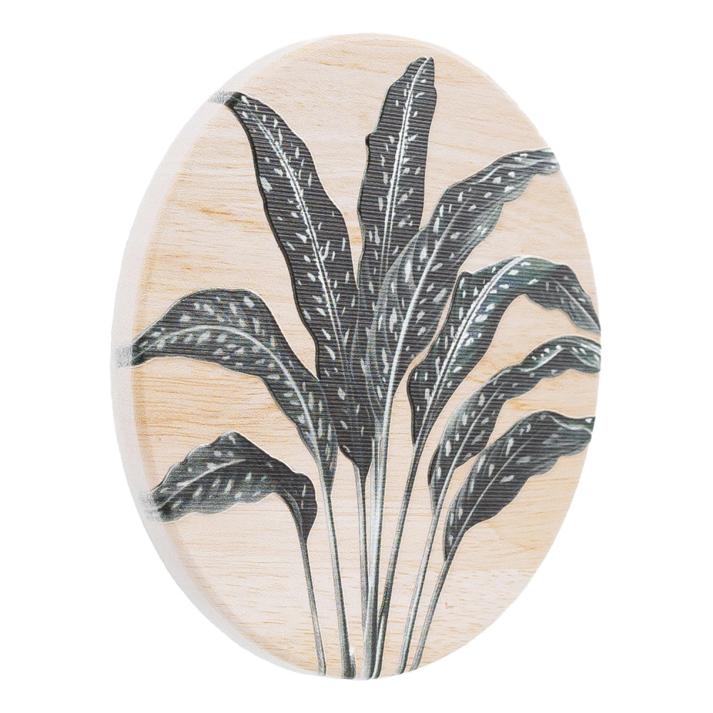 8PK Splosh Exotic Fern 11cm Ceramic Coaster Drink Mat Round