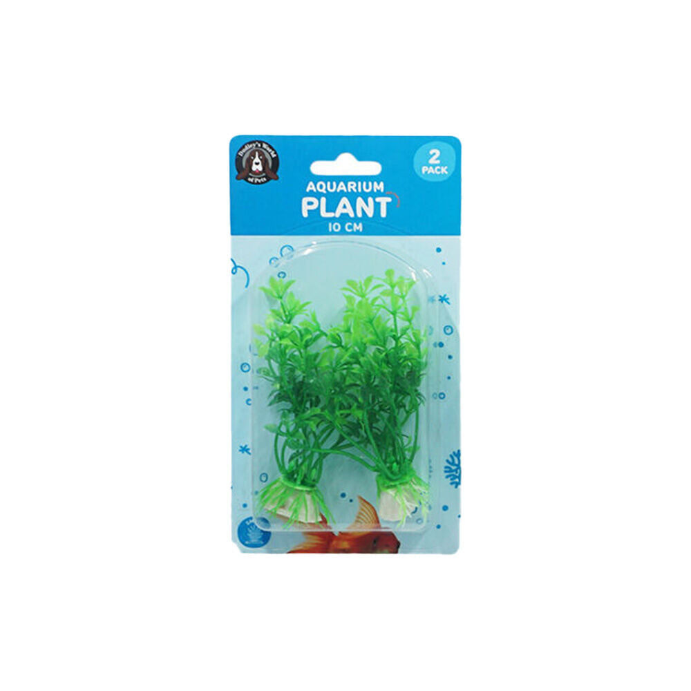 24pc Dudley's World Of Pets Aquarium Plant 10cm Assorted
