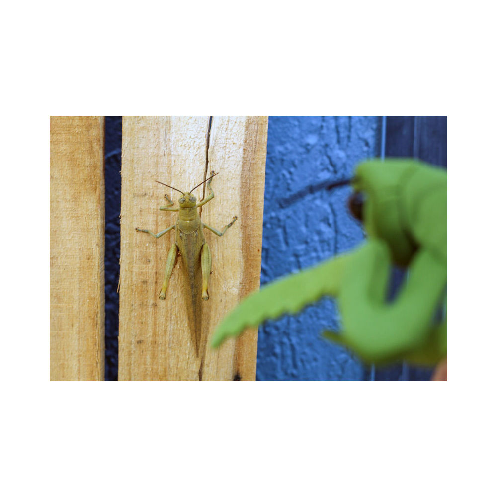 6pc Folkmanis Mini Praying Mantis Finger Puppet 18cm - Green 3y+