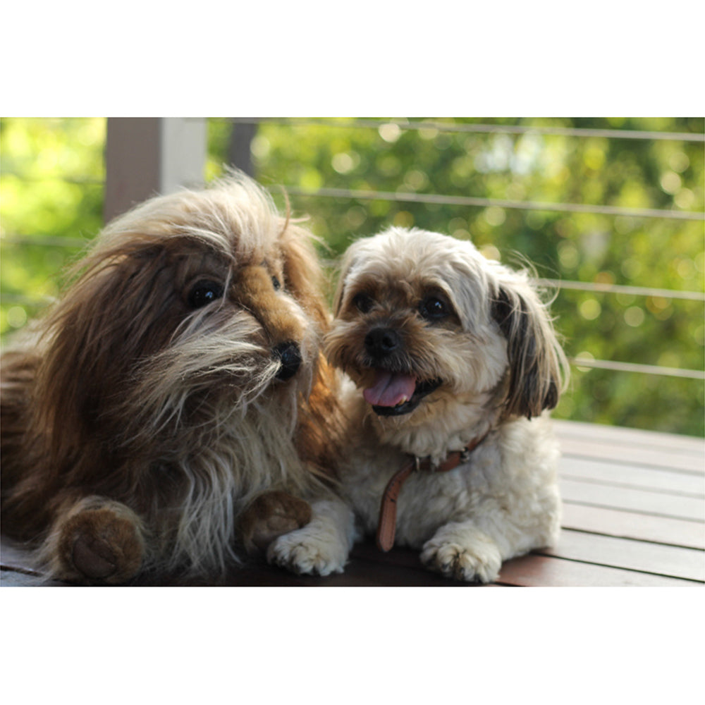 Folkmanis Shaggy Dog 51cm Animal Hand Puppet Kids/Children Toy 3y+