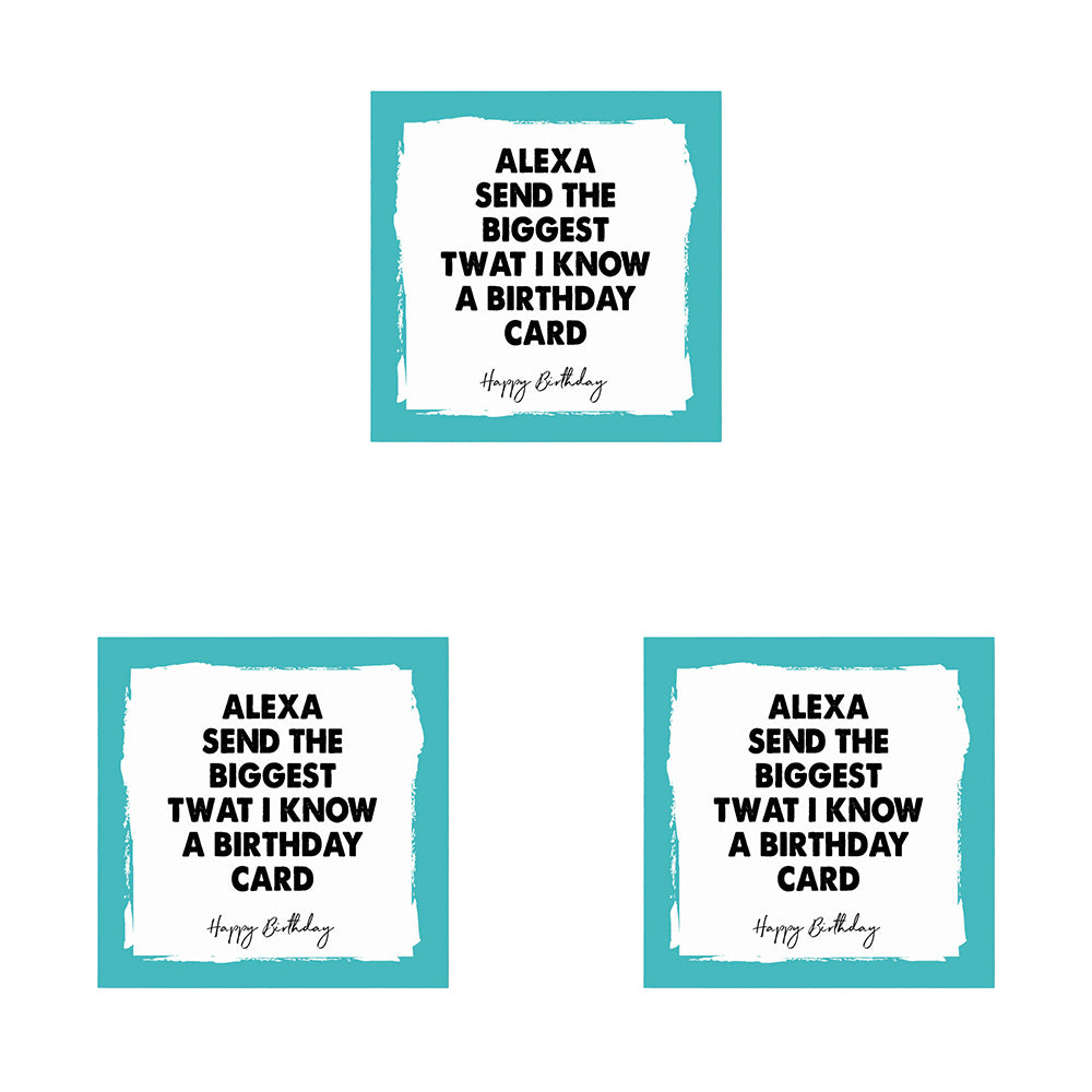 3PK Filthy Sentiments Birthday Alexa Card w/ Envelope 14x14cm