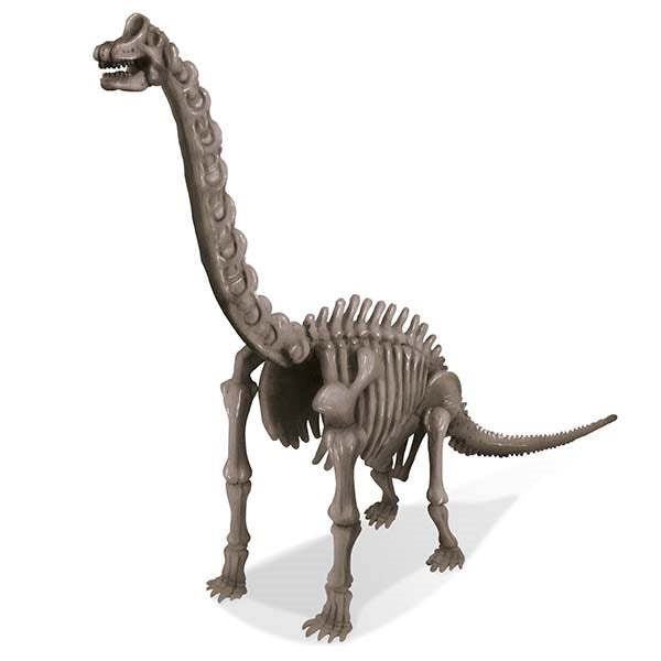 4M KidzLabs Dig a Dinosaur Brachiosaurus Kids Learning Toy 8y+