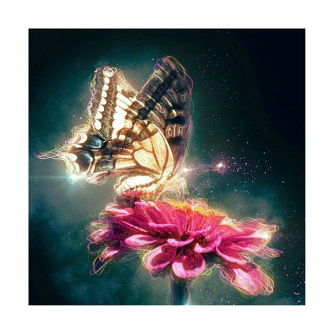 Butterfly on Flower Framed Print Hanging Decor Square 30x30cm Glass/Plastic