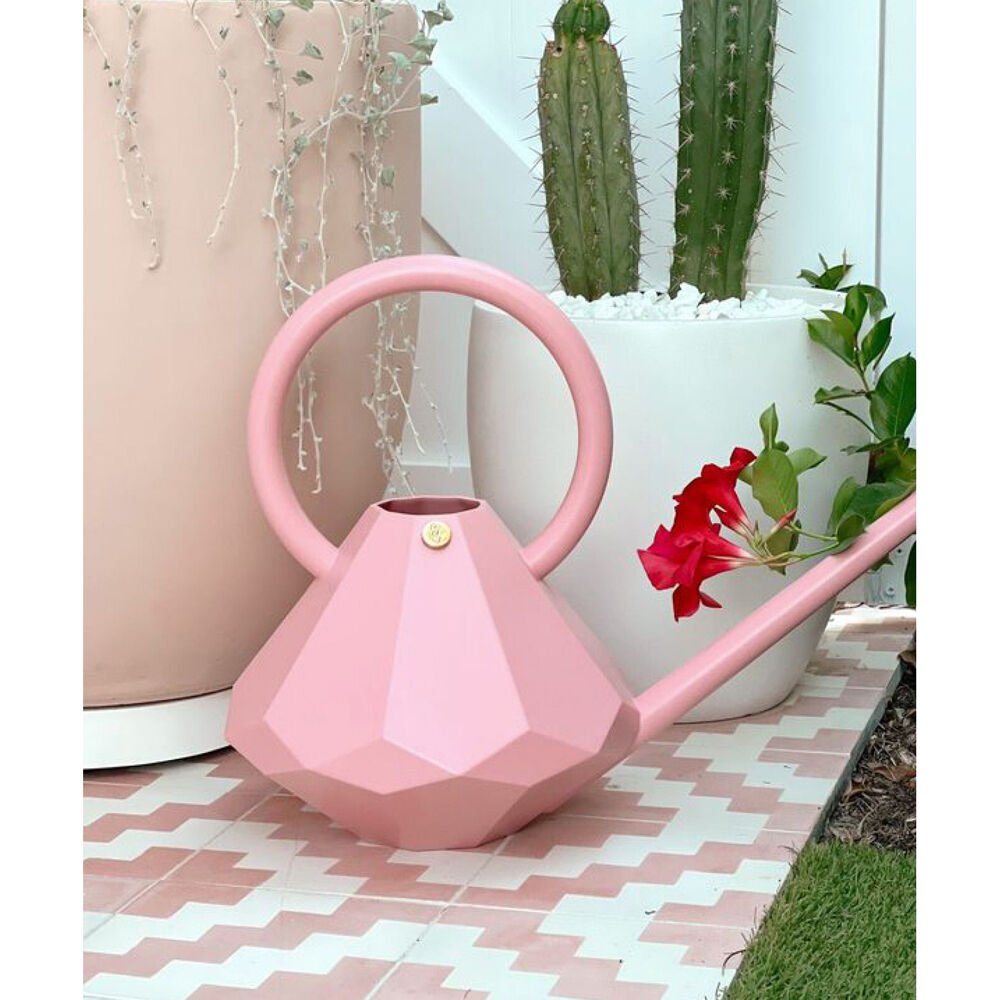 Garden Glory 8L Plastic Watering Can Long Spout Pot - Rose