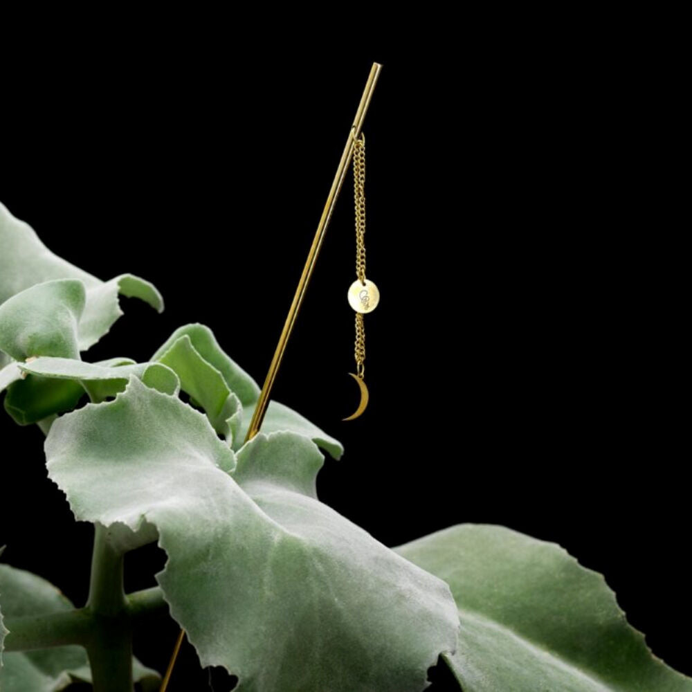 Garden Glory Flower/Plant Leaner Support Stick 48cm - Moon