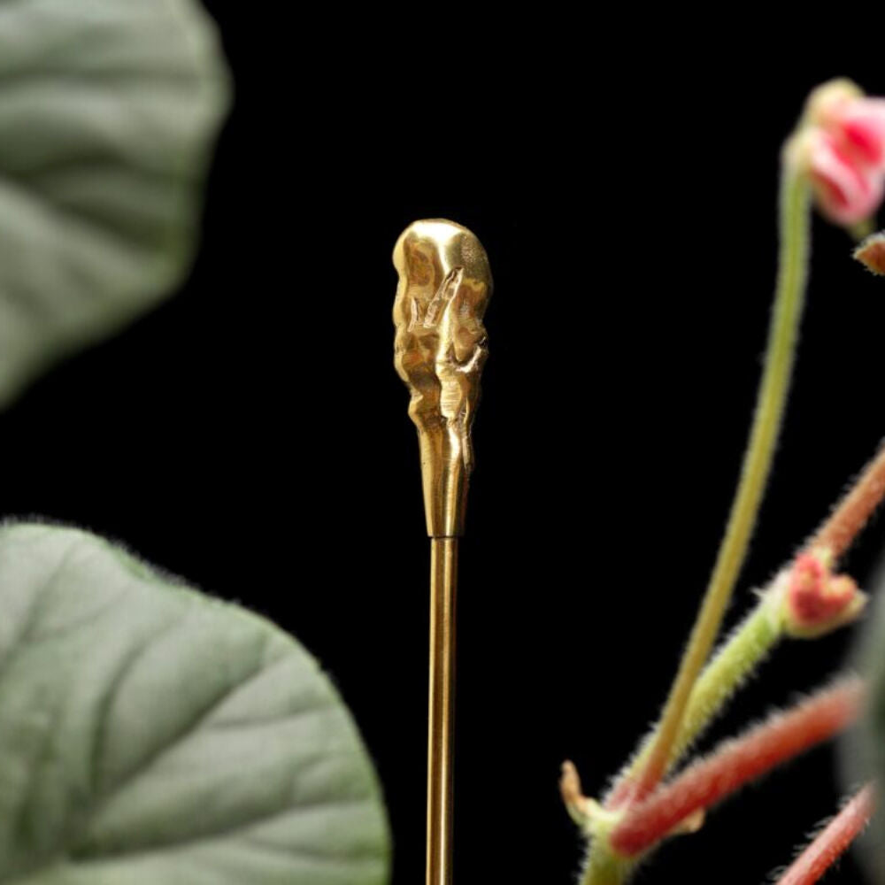 Garden Glory Flower/Plant Leaner Support Stick 48cm - Organic Shape