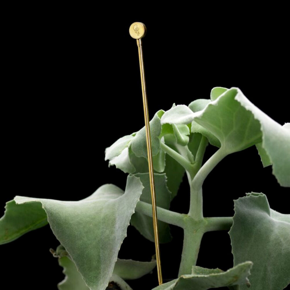 Garden Glory Flower/Plant Leaner Support Stick 48cm - GG Button